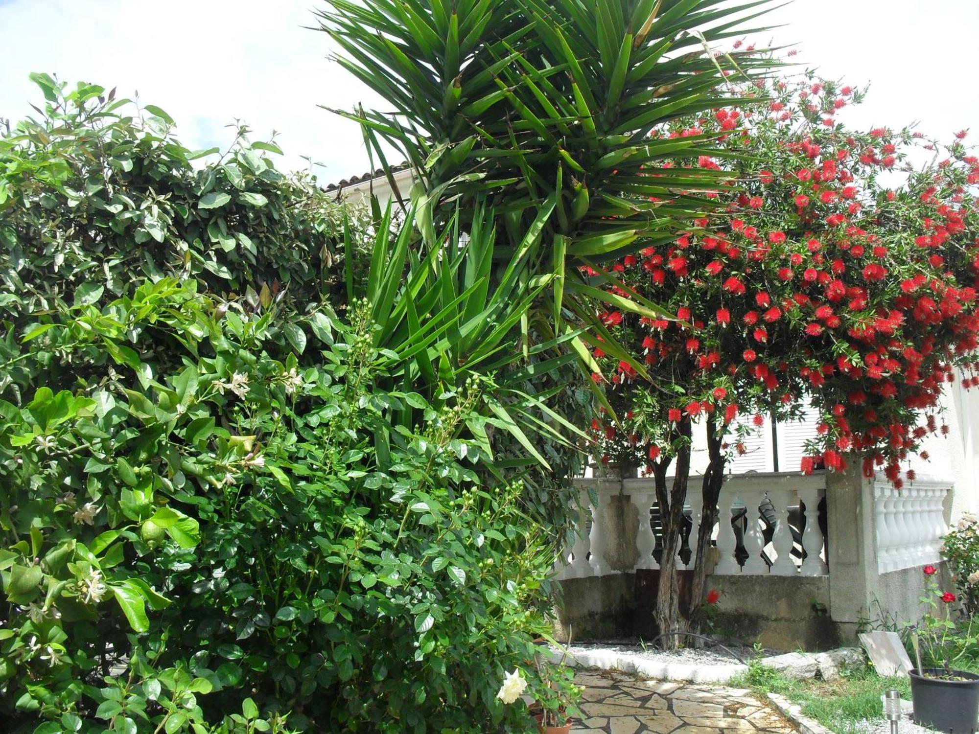 Veronique Bed & Breakfast Appietto Luaran gambar